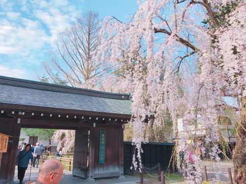 静岡にあるエスアンドエフ(S&F),角館